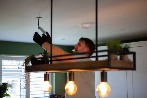 Best Outdoor Lighting Installation  in Holmen, WI